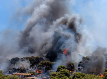 地球大气二氧化碳含量达创纪录水平