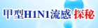 甲型H1N1流感 探秘