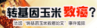 转基因玉米致癌？