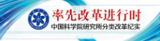 率先改革进行时