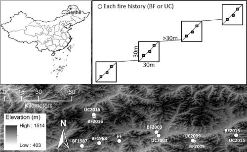 大兴安岭林区样点分布图.jpg