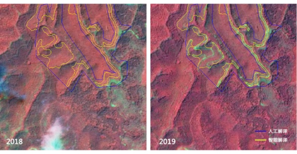 商汤智能遥感解译技术助力林地变化检测.jpg