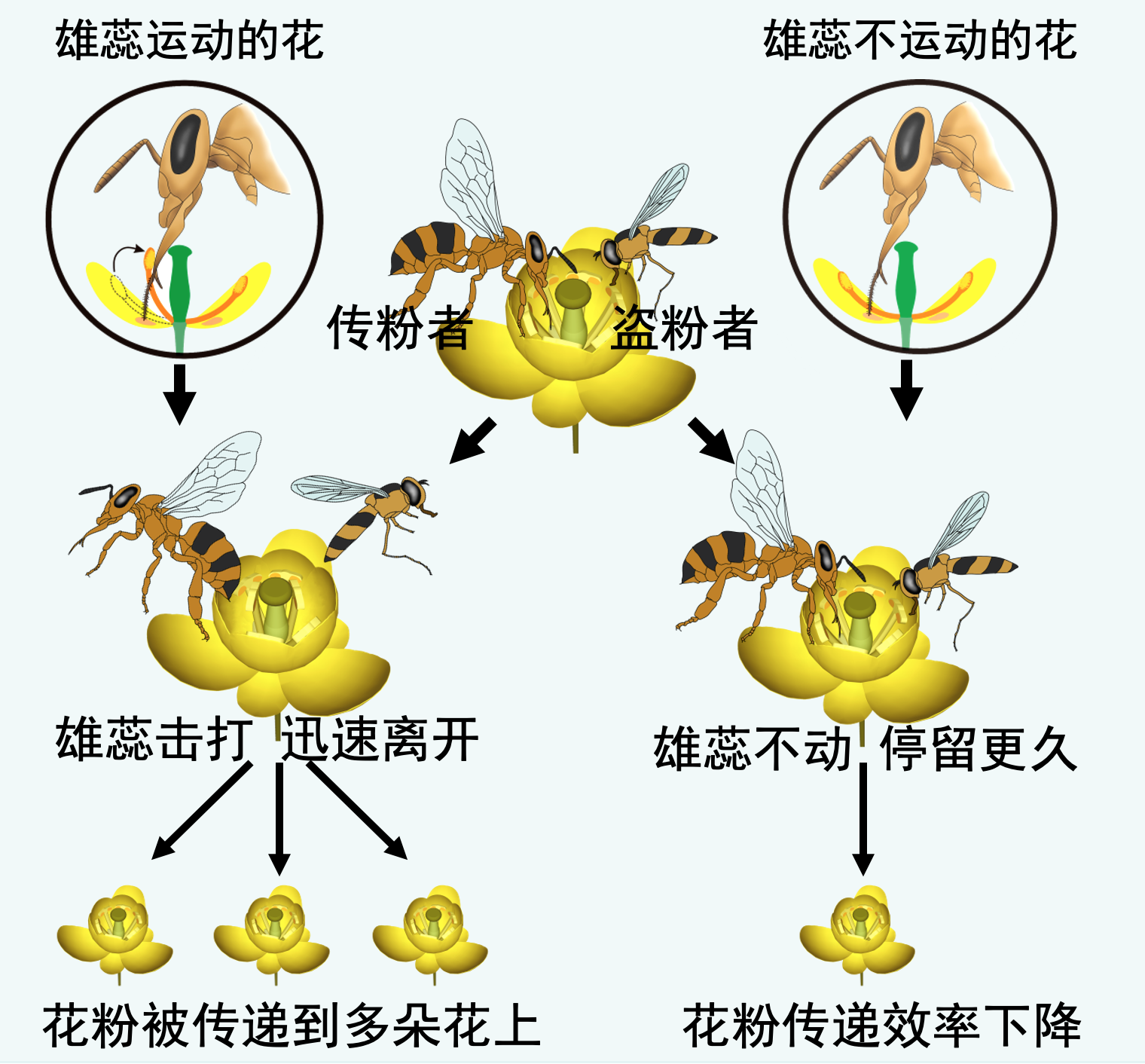 截屏2022-10-15 下午12.29.17.png