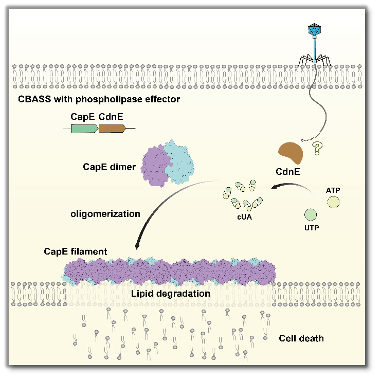 图片6.png 图片6.png
