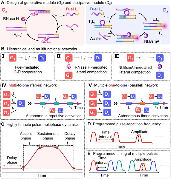 图片1_副本.jpg 图片1_副本.jpg