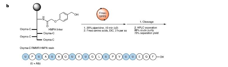 image016.jpg image016.jpg