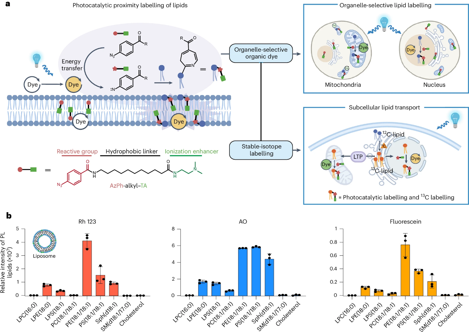 image003.png image003.png
