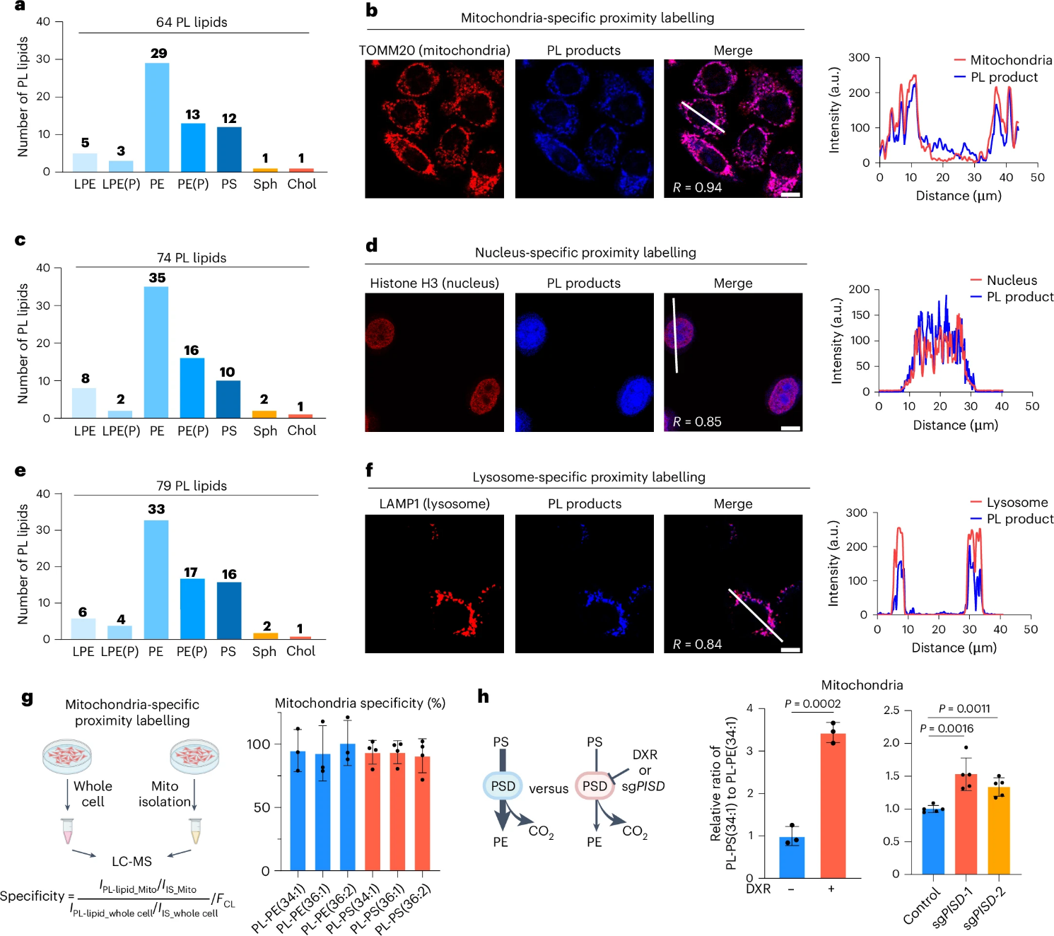 image005.png image005.png