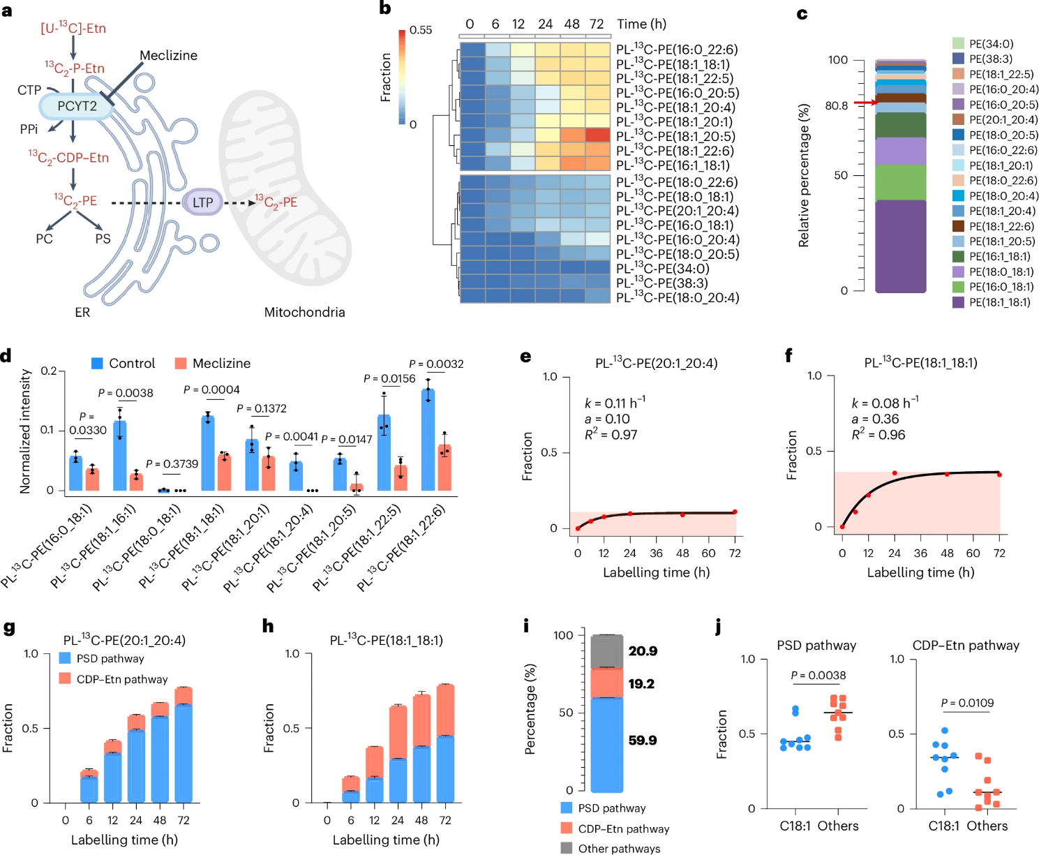 image009.png image009.png