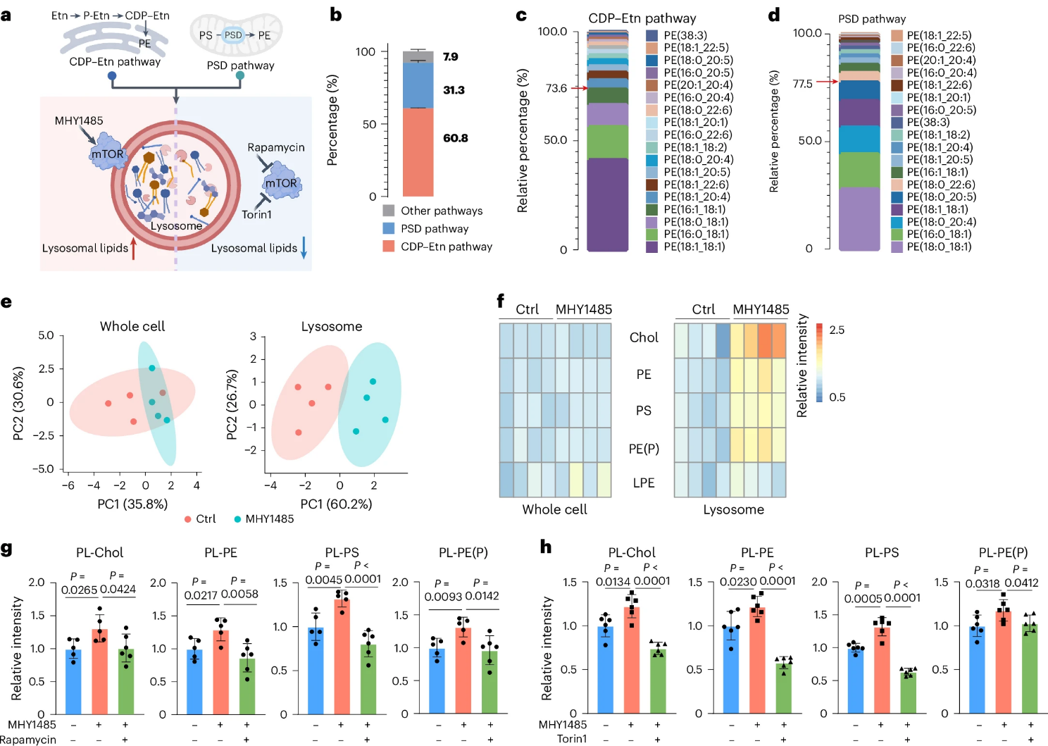 image013.png image013.png