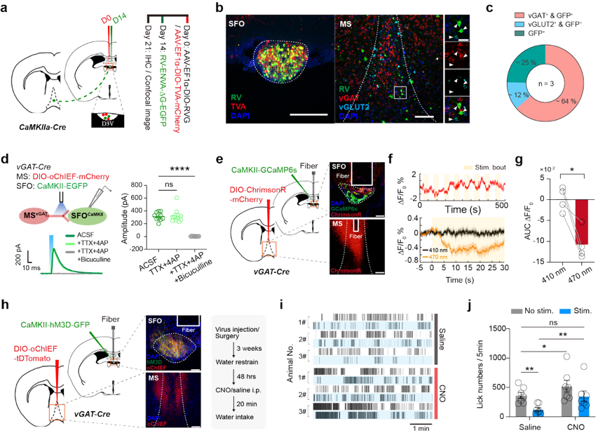 图片4.png 图片4.png