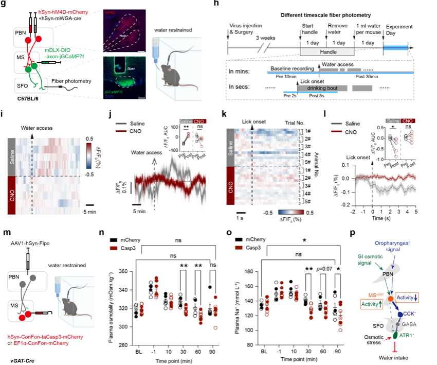 图片5.png 图片5.png
