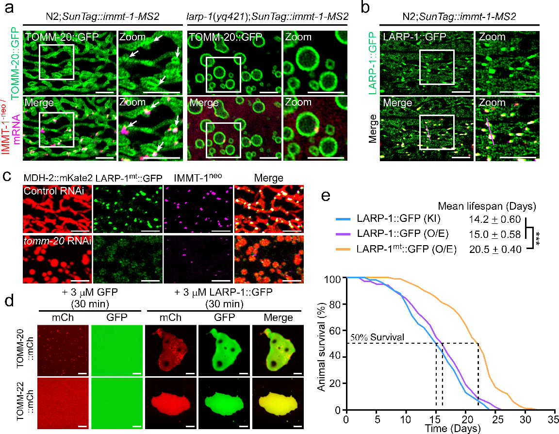 图片2.png 图片2.png