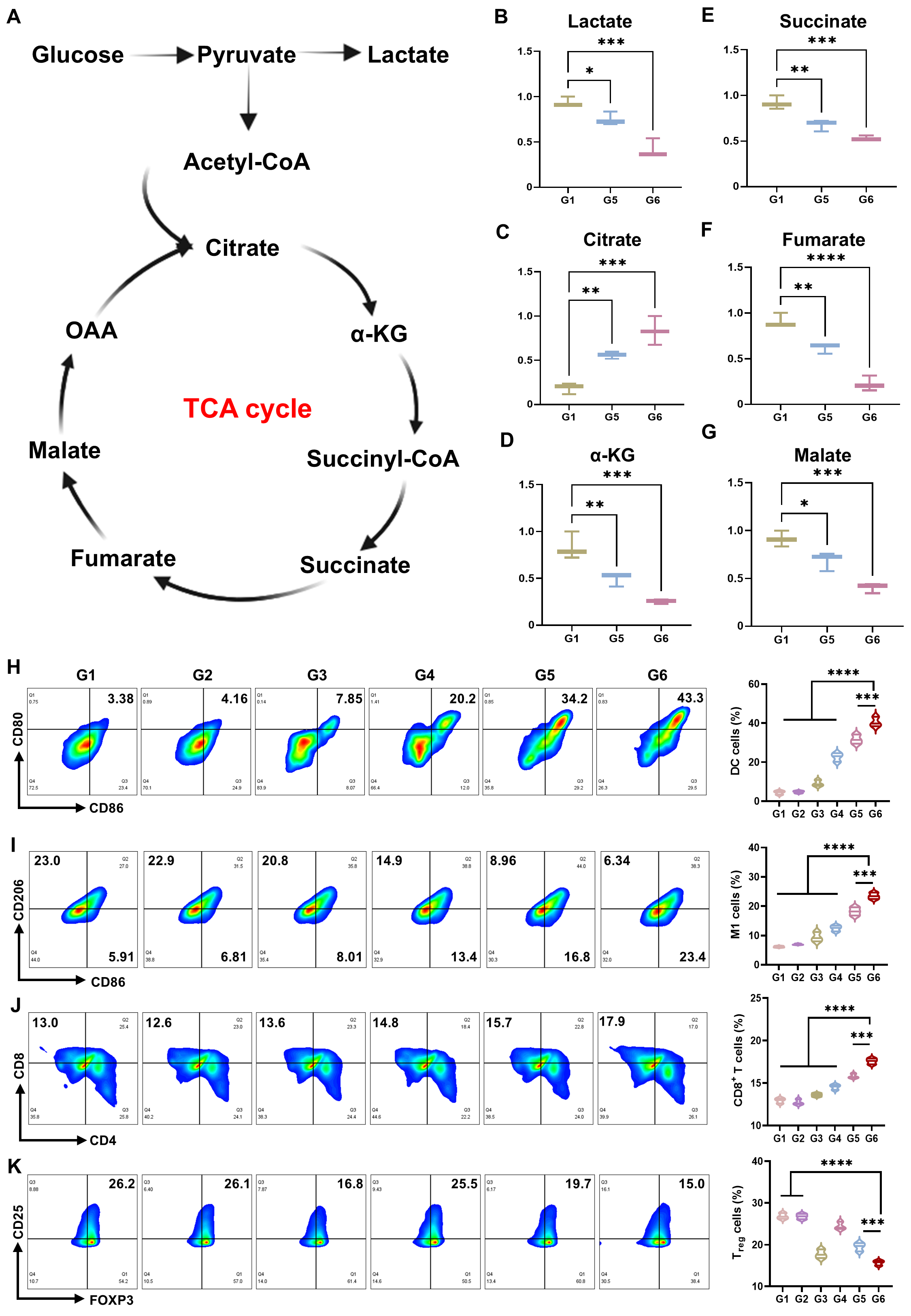 image011.png image011.png