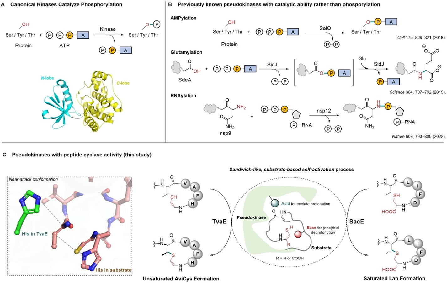 图片9.jpg 图片9.jpg