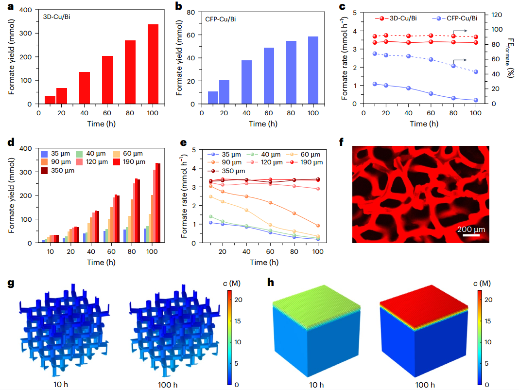 图片4 - 副本.png