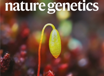 颠覆认知：苔藓植物，真的不简单