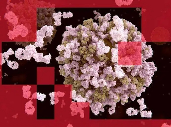 AI辅助抗体设计进入快车道