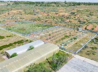 这里藏着一群人“向沙漠要绿洲”