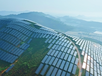 光与绿交响！光伏进茶园实现茶光互补发电