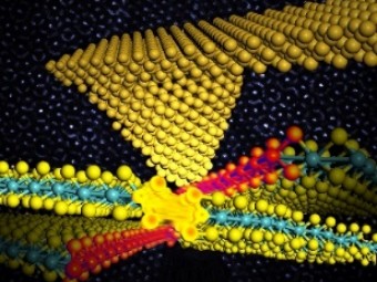 港理工研发出新型二维材料强韧兼备技术