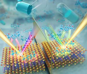 实现二维手性超晶格无标记SERS手性识别