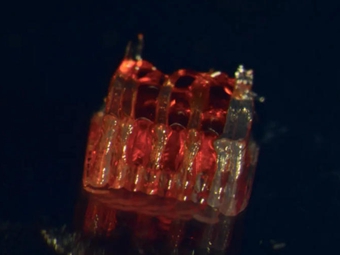 3D打印让瘫痪大鼠重新行走