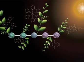 科学家发现将阳光转化为燃料的新方法